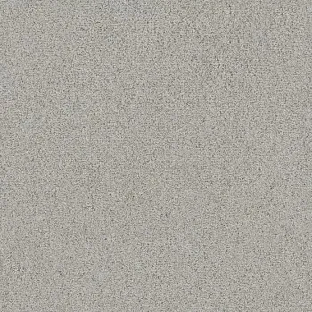 Draufsicht Girloon TWIN Teppichboden Velours 500 Schiefer, 2/4 m breit